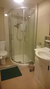 a bathroom with a shower and a toilet and a sink at Claw House in Holsworthy