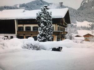 Bauernhof Kodahof – Familie Rabl v zimě