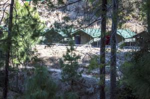 Příroda nedaleko luxury tent