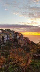 a group of buildings on a hill near the ocean at Terre Apartment in Corniglia