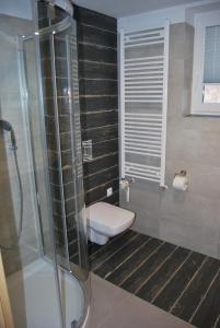 a bathroom with a toilet and a glass shower at Apartament Rodzinny in Szklarska Poręba