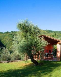 uma árvore em frente a uma casa com uma mesa de piquenique em L'Agrumeto em Borgo a Buggiano