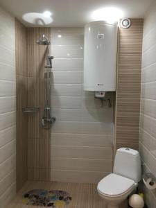 y baño pequeño con aseo y ducha. en Apartments Park Place en Sandanski