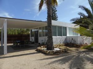 a house with a palm tree in front of it at Casa Jardin in Agua Amarga