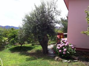 Zahrada ubytování Villa antares