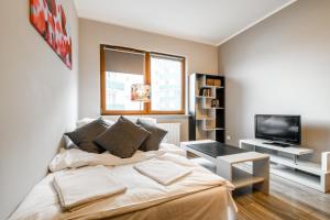 Televízia a/alebo spoločenská miestnosť v ubytovaní P&O Serviced Apartments GOCLAW