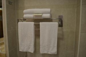 Koupelna v ubytování Hotel Diego De Almagro Talca