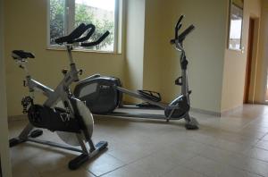 Fitness centrum a/nebo fitness zařízení v ubytování Hotel Diego De Almagro Talca