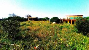 Zahrada ubytování ECO Affittacamere Casa Maica Eco guesthouse