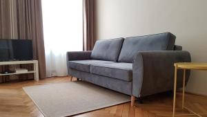 a living room with a couch and a television at CBS Apartments Budapest in Budapest