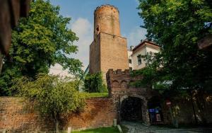 ceglany budynek z wieżą na górze w obiekcie Zamek Joannitów w Łagowie