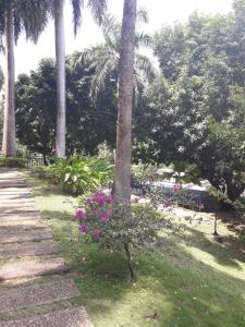 Zahrada ubytování girardot resort apto102