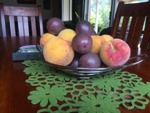 Tuaiにあるオフカ ロッジのテーブルの上に果物を盛り付けて