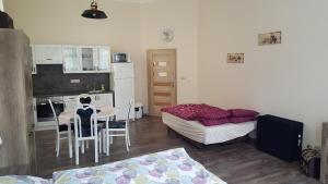 Kuchyňa alebo kuchynka v ubytovaní Apartment Marienbad Hlavni 131/50