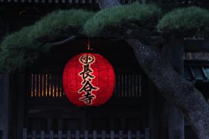 a red lantern hanging from a tree at night at AKAMA Kamakura in Kamakura