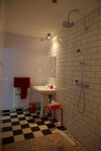 uma casa de banho com um lavatório e um chuveiro em Chambre d'hôtes La Célestine em Estrasburgo