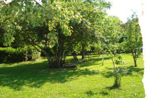 Afbeelding uit fotogalerij van Apartmani Aldo in Roč