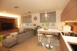 Televízia a/alebo spoločenská miestnosť v ubytovaní Apartment Cubo Maksimir 1