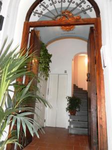 索倫托的住宿－Old Taverna Sorrentina，通往种植了植物的走廊的拱门