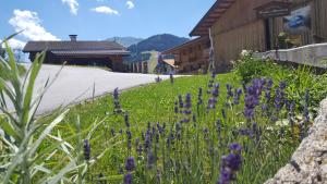 un campo de flores púrpuras frente a un edificio en Pension Biobauernhof Hinteraltensberg, en Auffach