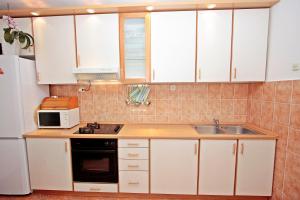 Kuchyň nebo kuchyňský kout v ubytování Apartman Diana