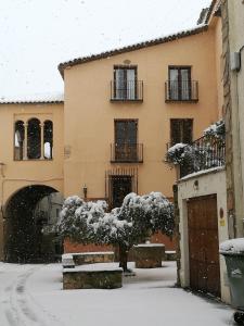 a building with a tree covered in snow at Casa Albano in Baldellou