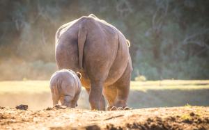 
a baby elephant standing next to an adult elephant at Botlierskop Private Game Reserve in Reebok
