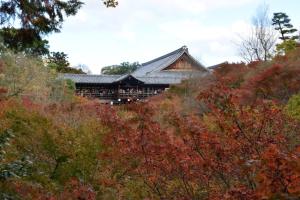 a building in the middle of a forest of trees at Guesthouse Higashiyama in Kyoto