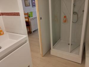 La salle de bains est pourvue d'une douche et d'un lavabo. dans l'établissement Appartements Cote pont Vieux-Self Check-In, à Carcassonne