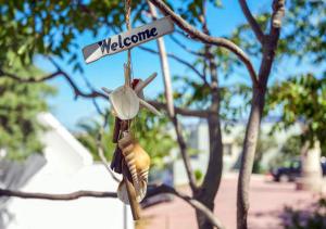 a bird ornament is hanging from a tree at Contaratos Holiday Lettings 3 in Livadi
