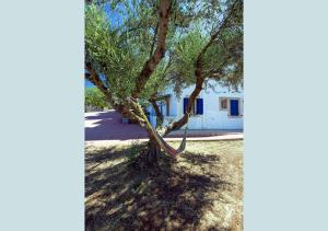 a tree with a rope tied to it at Contaratos Holiday Lettings 3 in Livadi