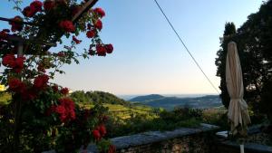 an umbrella and flowers and a view of a valley at Antica Corte Panego in Negrar