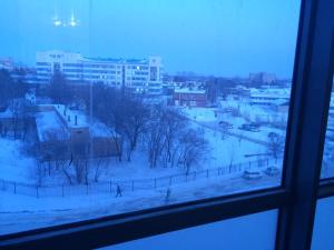 ハバロフスクにあるApartment on Pavlovicha 5/2の窓から雪の中の街並み