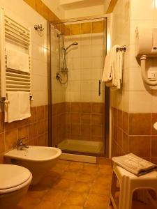 uma casa de banho com um chuveiro, um WC e um lavatório. em Hotel Berti em Assis