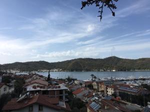 旅舍周边自然景观