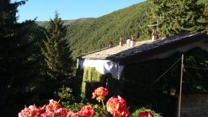 Nespecifikovaný výhled na hory nebo výhled na hory při pohledu z bed and breakfast