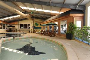 a swimming pool with a shark in the water at Croyde Bay Hotel or Self Catering in Croyde