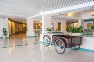 Fotografie z fotogalerie ubytování Hotel Torre Oliva v destinaci Policastro Bussentino