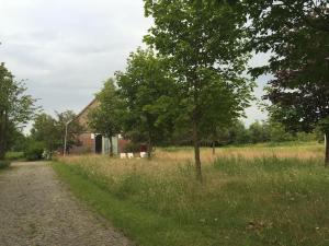 polna droga obok pola ze stodołą w obiekcie Entspannung in der schönen Lüneburger Heide w mieście Göhrde