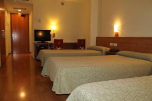 TV a/nebo společenská místnost v ubytování Hotel Flora Parc