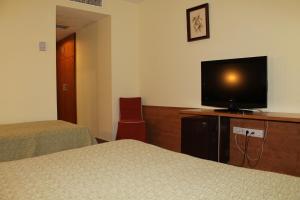 TV a/nebo společenská místnost v ubytování Hotel Flora Parc