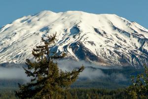 a snow covered mountain with a tree in front of it at Lone Fir Resort in Cougar