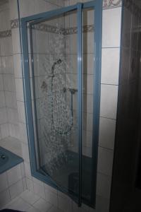 prysznic ze szklanymi drzwiami w łazience w obiekcie Ferienwohnung Haus Cerny w mieście Bad Goisern +32 zdjęcia