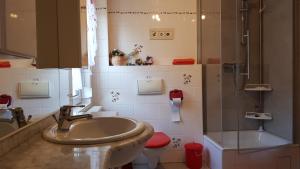 ein Bad mit einem Waschbecken, einem WC und einer Dusche in der Unterkunft Ferienwohnungen "Gründelrast" in Prossen