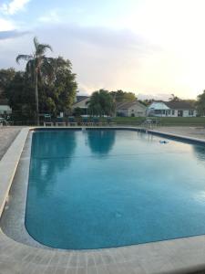 Gallery image of Oasis Villa Retreat in Bradenton