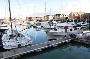 a group of boats docked in a marina at Second Nature Southampton in Southampton