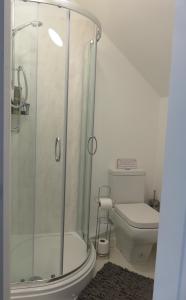 a bathroom with a shower and a toilet at The Golden Mile Country Inn in Ewenny