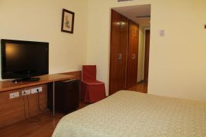 TV a/nebo společenská místnost v ubytování Hotel Flora Parc
