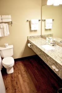 een badkamer met een toilet, een wastafel en een spiegel bij Country Inn River Falls in River Falls