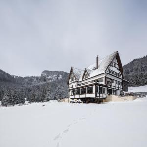 Chalet Alpina ในช่วงฤดูหนาว